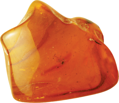 10,95 g Amber Nugget with inclusion (2)