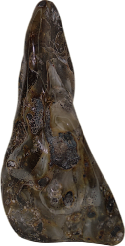 35,90 g Grey Amber Nugget (1)