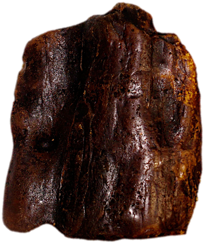118 g Gintaro grynuolis (2)