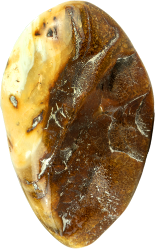 24 g Amber nugget (3)