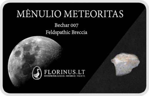 Lunar Meteorite (1)
