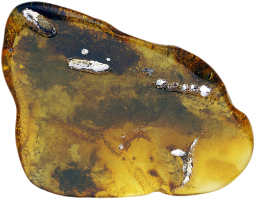 15,50 g Dzintara gabaliņš ar koka mizas inkrustāciju (1)