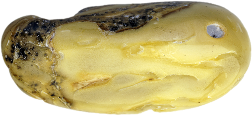 36,85 g Gintaro grynuolis su natūralia skyle (1)