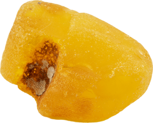 9.45 g Sea amber nugget (1)