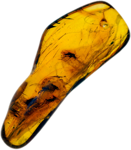 2,30 гр. Самороден кехлибар с фосил (1)