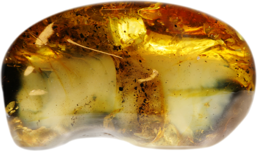 31,60 g Amber nugget (1)