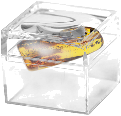 Самородок янтаря с инклюзом 3,85 г (2)