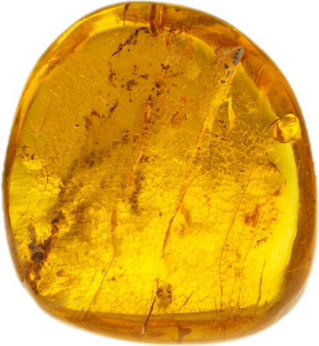 16,70 g Amber nugget with inclusion (2)