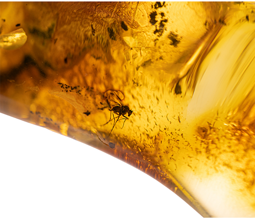 20,70 g Amber Nugget with inclusion (2)