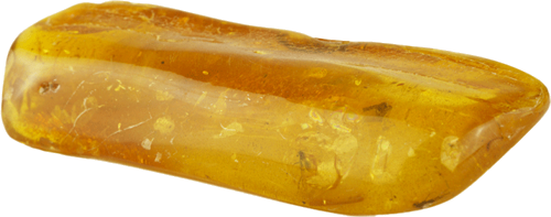 13,45 g Gintaro grynuolis su inkliuzu (4)