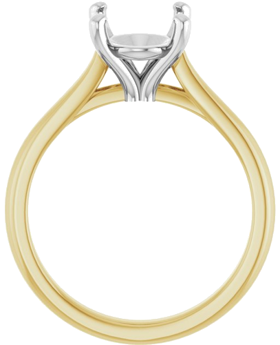 Sužadėtuvių Žiedas 14k yellow/white gold Oval 10mm x 8mm (2)