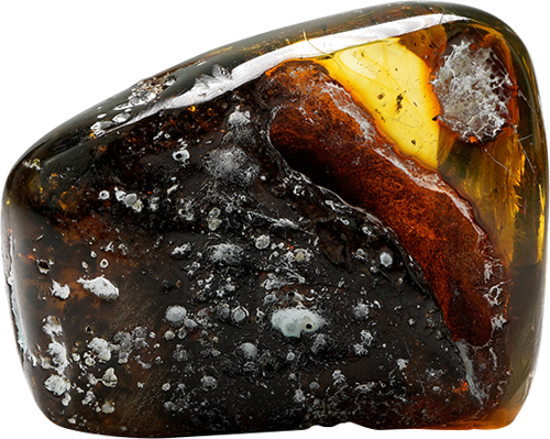 29,20 g Amber nugget with inclusion (2)