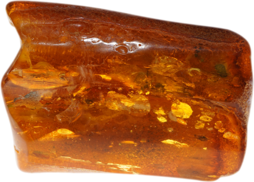 31,60 g Amber nugget (2)