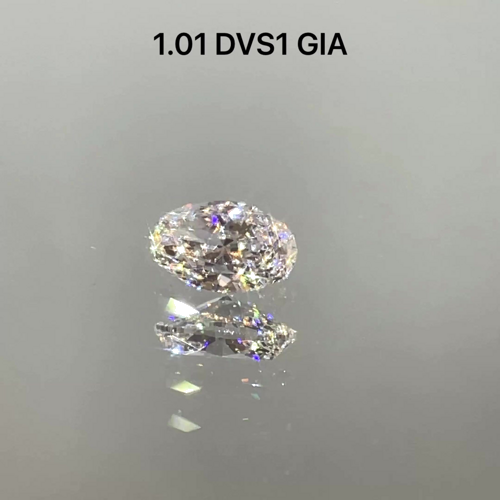 1.01 carat D-VS1 Natūralus Oval Deimantas (1)
