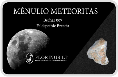 Lunar meteorīts (1)