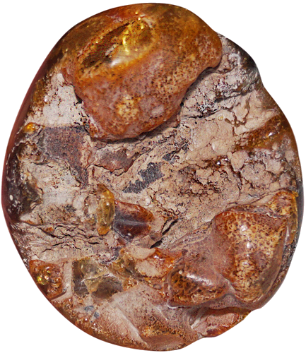 26 g Gintaro grynuolis (2)