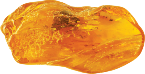 13,75 g Gintaro grynuolis su inkliuzu (4)