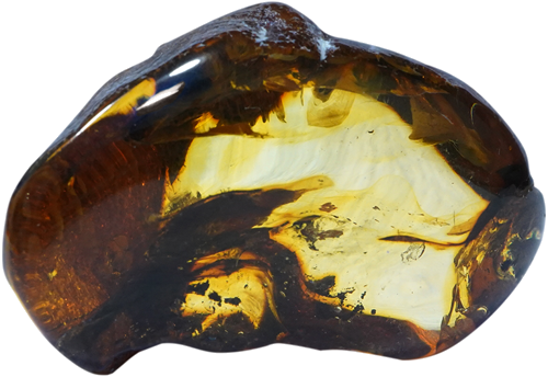 31,60 g Amber nugget (1)