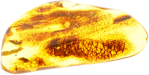 7,20 g Dzintara gabals (2)