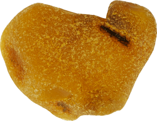 7,00 g Jūrinio Gintaro grynuolis (3)