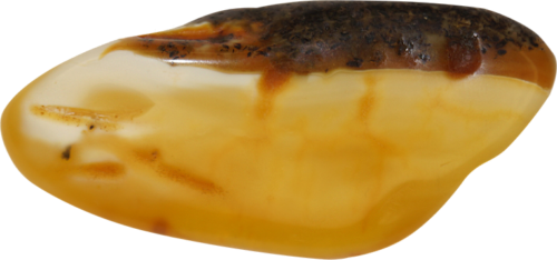 15 g Amber Nugget (2)