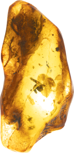 3,90 g Amber nugget with inclusion (4)