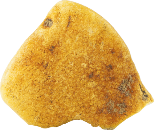 10,65 g Jūrinio Gintaro grynuolis (1)