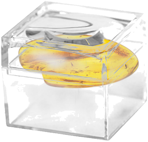 Самородок янтаря с инклюзом 2,95 г (2)