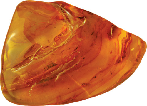 18,20 g Dzintara tīrradnis ar inkrustāciju (1)