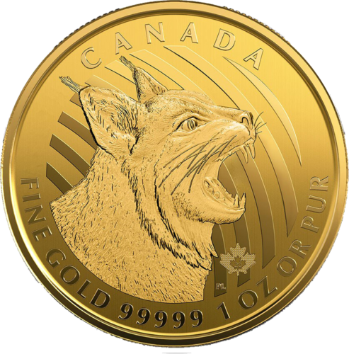 1 oz Коричневая рысь 2020 Канада .99999 золотая монета (3)