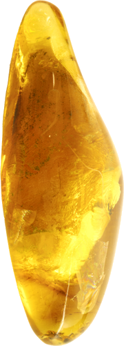 21,90 g Amber nugget with inclusions (2)