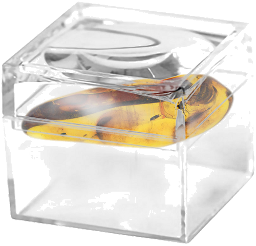 4,35 гр. Самороден кехлибар с фосил (2)