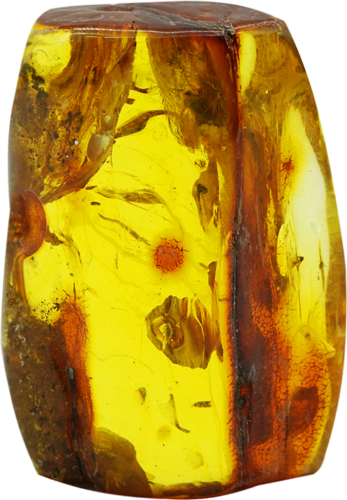 91,85 g Amber Nugget with inclusion (1)