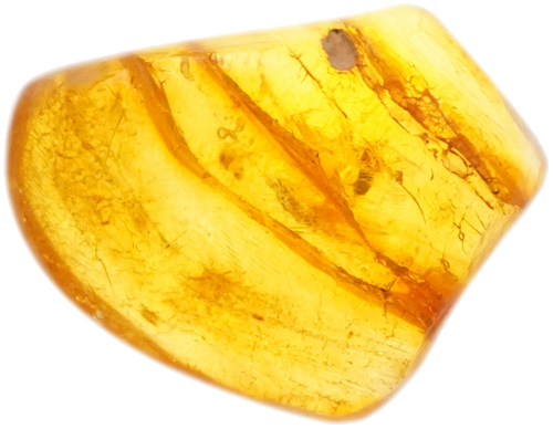 1,85 g Gintaro grynuolis su inkliuzu (2)