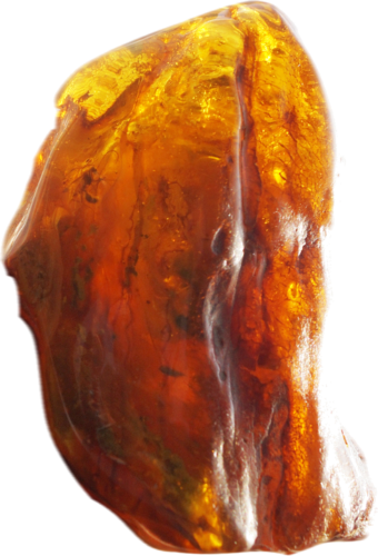 83,10 g Amber Nugget with inclusion (1)