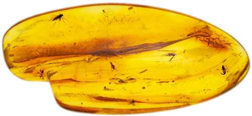 2,95 g Amber Nugget with inclusions (1)