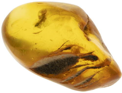 1,55 g Amber nugget with inclusion (2)