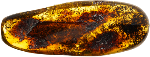 12,05 g Amber nugget (1)