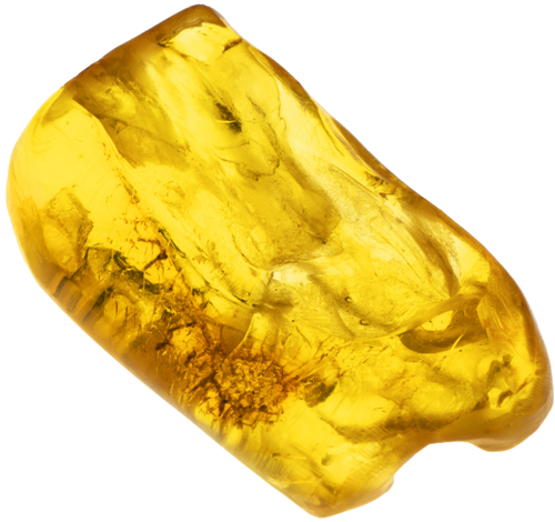 Янтарь с инклюзом 6,70 г (2)