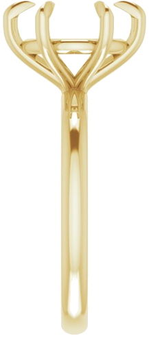Sužadėtuvių Žiedas „Claw-Prong“ 14k yellow gold Round 10mm (4)