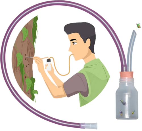 Aspirator for poisoning bottle (1)