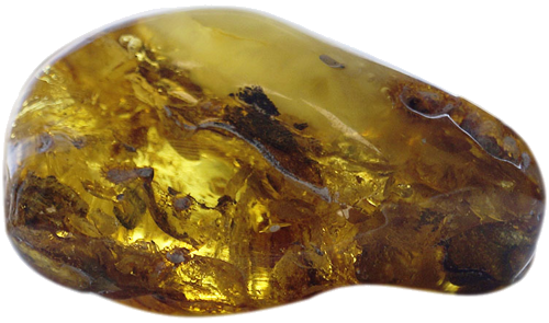 42,70 g Gintaro grynuolis (1)