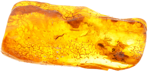 13,80 g Amber Nugget with inclusion (1)
