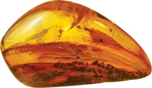 15,40 g Amber Nugget with inclusion (1)