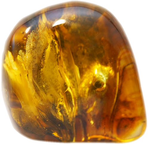 33,30 g Gintaro grynuolis (1)