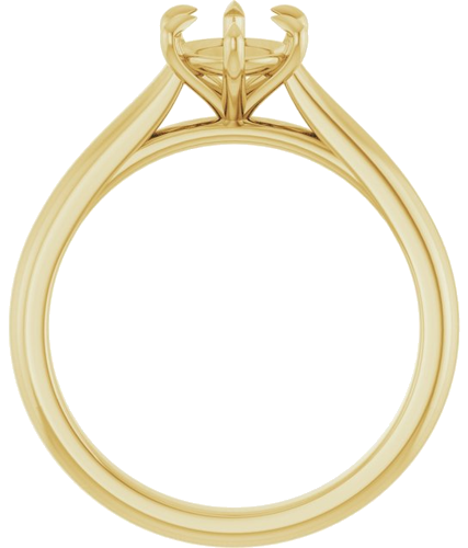 Sužadėtuvių Žiedas „Claw-Prong“ 14k yellow gold Oval 8mm x 6mm (2)
