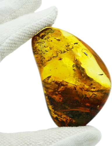 43,10 g Amber Nugget with inclusion (1)