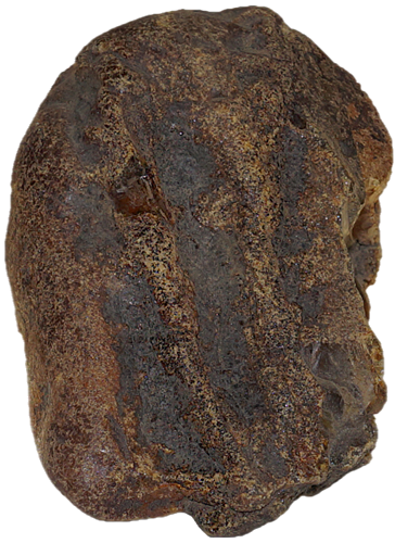 62,75 g Amber Nugget (2)