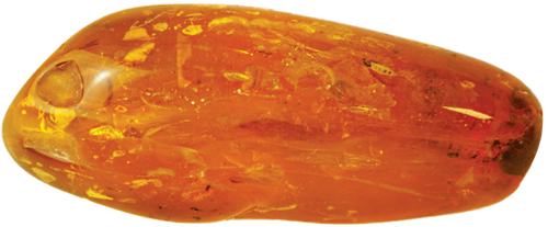8,45 g Amber Nugget with inclusion (1)