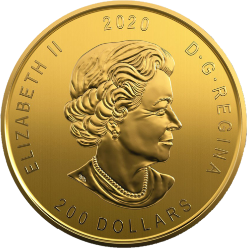 1 oz Bobcat 2020 Canada .99999 Gold Coin (4)